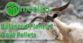 Balanced Plant in Palm Shell Pellets. Buy Now!