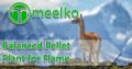 Balanced Pellet Plant for Flame. Buy now!
