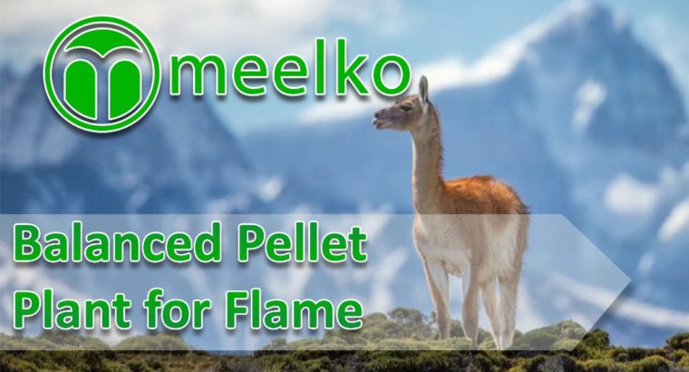 Balanced Pellet Plant for Flame. Buy now!