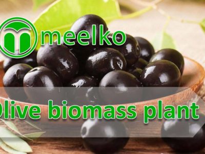 Olive biomass plant. Buy Now