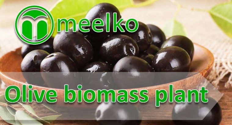 Olive biomass plant. Buy Now