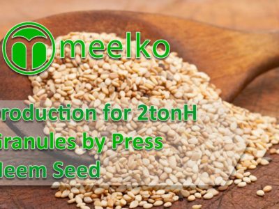 Production for 2tonH Granulated Sesame Seed