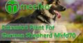 Extrusion Plant For German Shepherd Mkfd70. Buy No