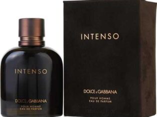 Intenso for Men by Dolce & Gabbana EDP-Sp 125ml 4.2oz 100% Authentic