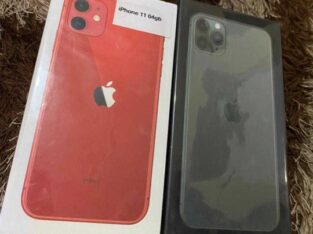 IPhone 11 and 11 pro max