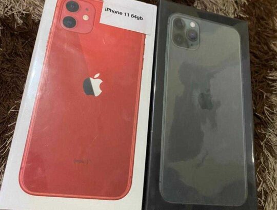 IPhone 11 and 11 pro max