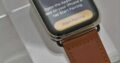 Apple Watch Series 5 Stainless 44MM GPS Cellular