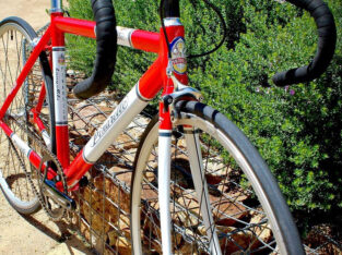 Pinarello Lungavita bicycle