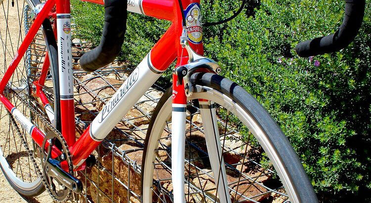 Pinarello Lungavita bicycle