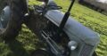 grey ferguson tractor diesel