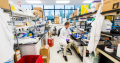 Biotech Lab Space for Rent near Boston – LabShares