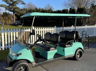 400cc Gas Golf Cart Utility Vehicle UTV ATV Quad 4 – (Color Aqua Green)