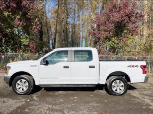 2019 FORD F-150